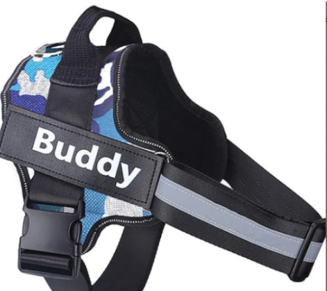 Correa y Cadena para Perro - Accesorios para Mascotas de Calidad Premium - Image 9