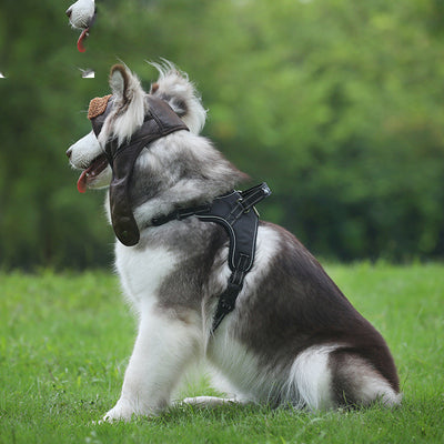 Ropa de Abrigo para Perros Otoño Invierno - Image 2