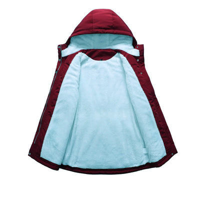 Chaqueta Acolchada Picture Boy - Algodón Premium - Image 26