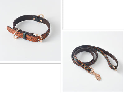 Correa y Collar para Perro - Sistema de Control Seguro - Image 13