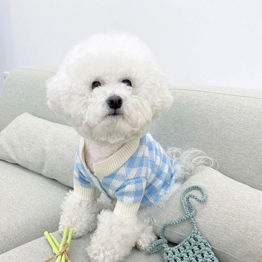 Suéter Tejido para Mascotas Bomei - Abrigo Otoño e Invierno - Image 29