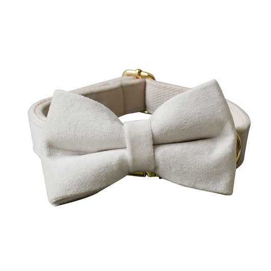 Collar de Terciopelo Blanco para Perros con Hebilla de Aleación - Image 8
