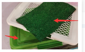 Bandeja Sanitaria de Rejilla para Perros - Entrenamiento de Baño - Image 6