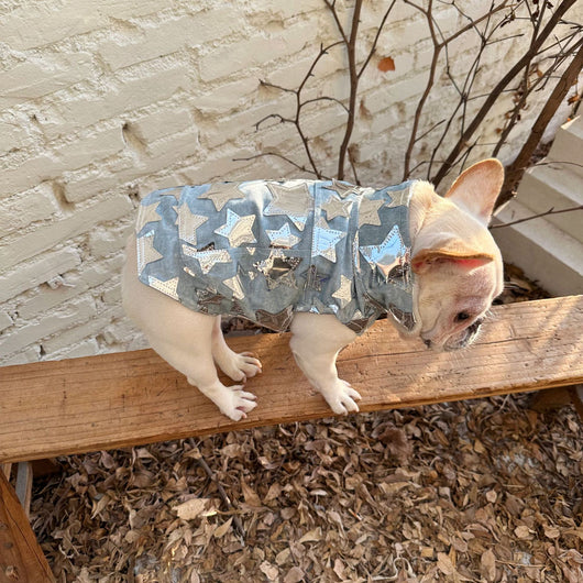 Chaleco Denim Fresco para Mascotas - Perros y Gatos Verano - Image 10