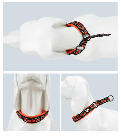 Collar Ajustable para Perro Truelove con Tela de Buceo Reflectante - Image 12