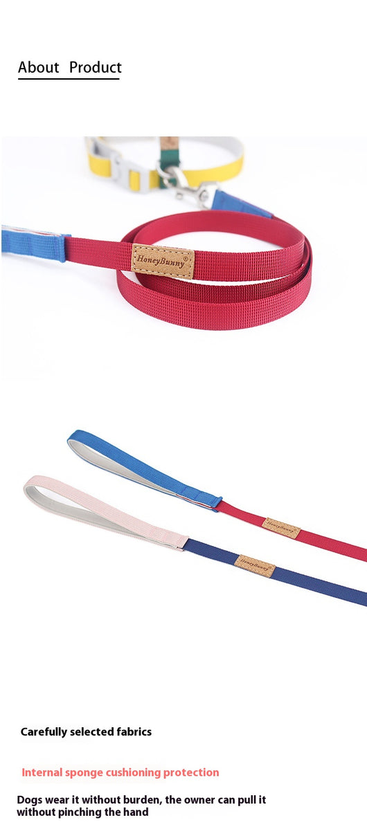 Correa Multicolor para Perro con Arnés de Pecho y Espalda - Image 10