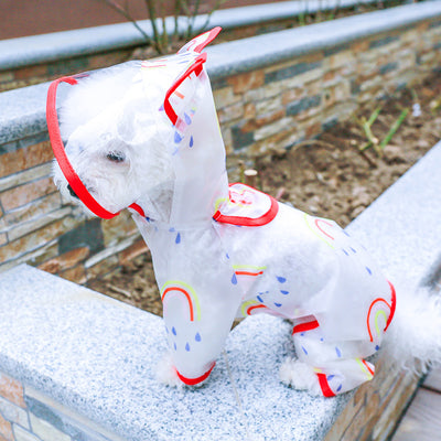 Impermeable Transparente Arcoíris para Perros - Image 20