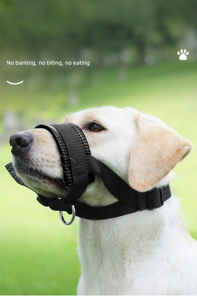 Bozal Antiladridos Transpirable con Correa - Herramienta de Adiestramiento Canino - Image 10