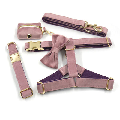 Collar y Correa para Perro en Terciopelo Verde - Image 8