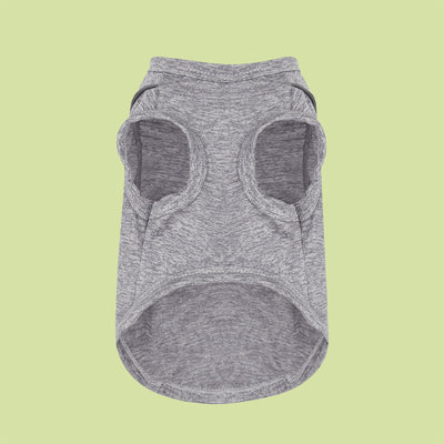 Ropa Reflectante para Perros Pequeños - Chaleco Luminoso Teddy, Pomerania y Pug - Image 32