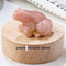 Specimen Popular Science Ornament Children's Gifts Peach Stone