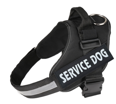 Arnés de Pecho para Perro con Cuerda de Tracción - Image 37
