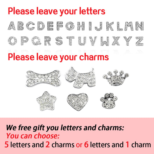 Collar Personalizado para Perros Pequeños con Strass Brillante - Image 5