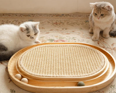 Juguete de Madera Maciza para Gatos Activos - Image 10
