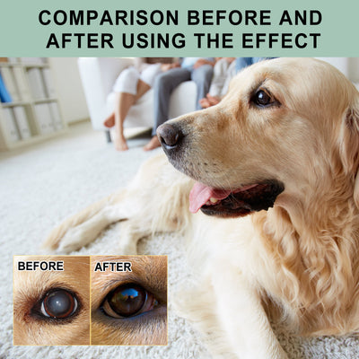 Gotas Oftálmicas para Perros y Gatos - Cuidado Ocular Profesional - Image 2