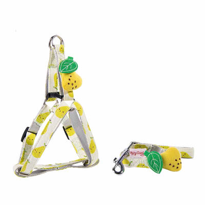 Collar y Correa para Perros con Estampado de Frutas - Colección Frutal - Image 7
