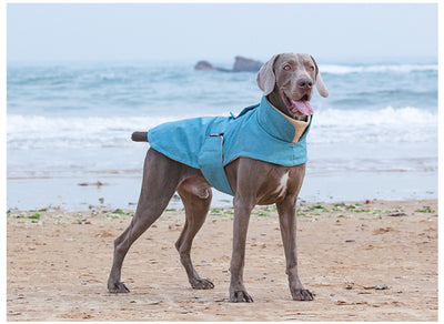 Chaleco Térmico para Perros Medianos y Grandes - Resistente al Agua y Lavable - Image 12