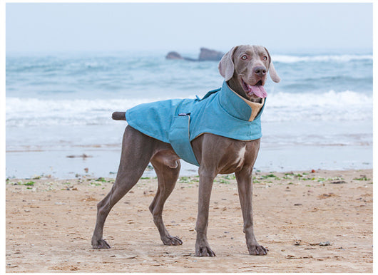 Chaleco Térmico para Perros Medianos y Grandes - Resistente al Agua y Lavable - Image 12