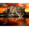 Cuadro de Pintura de Diamantes 5D Leopardo y Tigre