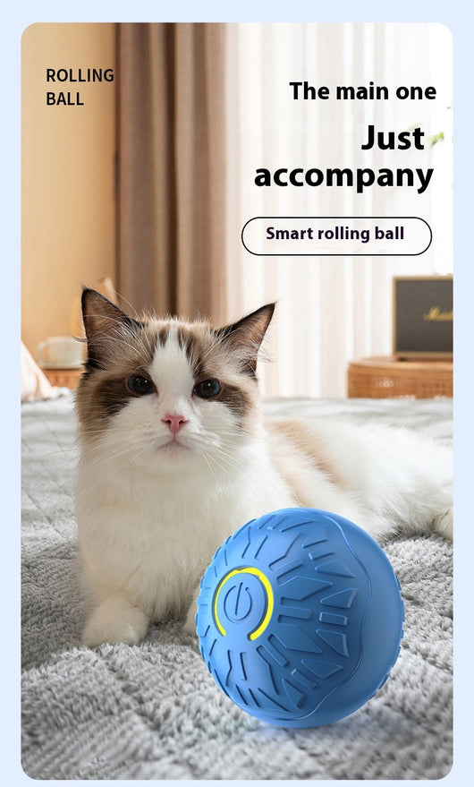 Upgraded blue electric jumping ball for pets with a yellow power button, made of chewable silicone, on a white pedestal. - Image 26