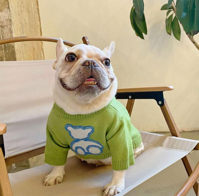 Suéter Abrigador para Perros Pequeños - Pug y Corgi Otoño Invierno