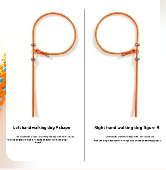 Red anti-knot competition grade P rope dog leash with a padded handle and metal hardware. - Image 10