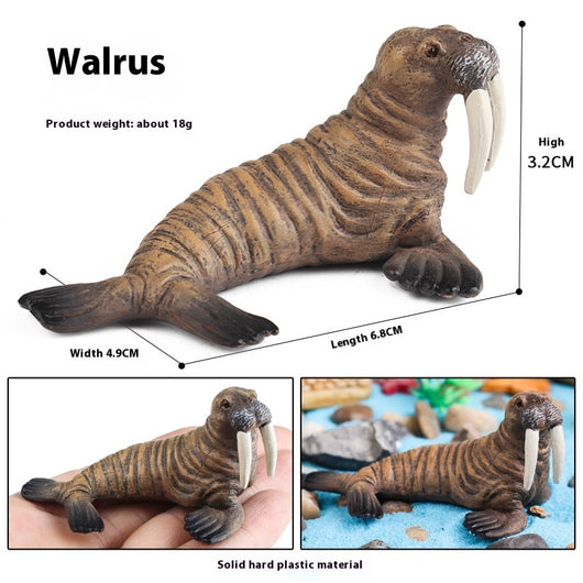 Juego Educativo de Animales Marinos Realistas para Niños - Image 68