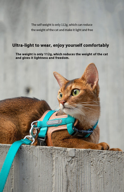 Arnés de Tracción en I para Gatos - Chaleco Pectoral y Dorsal - Image 15