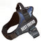 Ropa Reflectante para Mascotas - Protección Nocturna