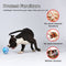 Juguete Interactivo Inteligente para Gatos y Perros Pequeños