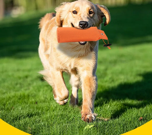 Juguete Descompresivo para Perros con Personalización - Image 3
