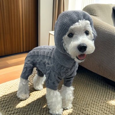 Suéter Tejido Cálido para Mascotas con Gorro a Juego
