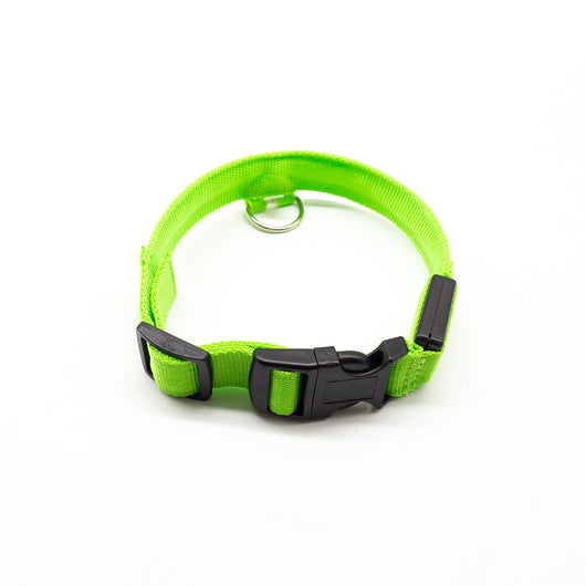 Collar LED Recargable para Mascotas - Image 6