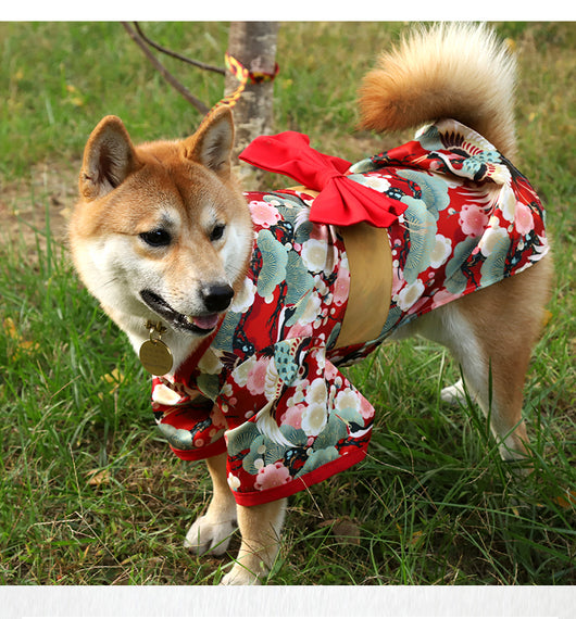 Traje Tradicional Kimono para Perros Shiba Inu y Gatos - Ropa Asiática Tang para Mascotas Pequeñas y Medianas - Image 10