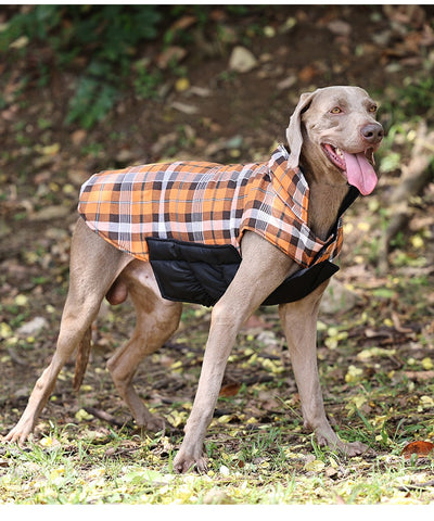 Abrigo Reversible Impermeable para Perros - Calidez y Protección Garantizada - Image 10