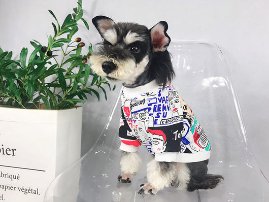 Suéter Abrigador para Perros Pequeños - Schnauzer, Shiba Inu y Bichón - Image 17