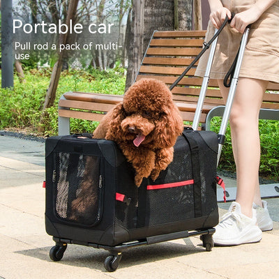 Bolsa Transportadora para Mascotas con Montaje Vehicular - Image 15