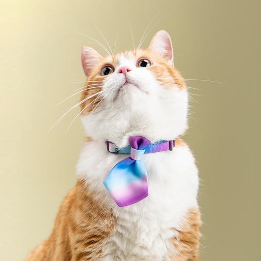 Corbata Ajustable para Perros - Accesorios de Moda Gentleman para Mascotas - Image 13