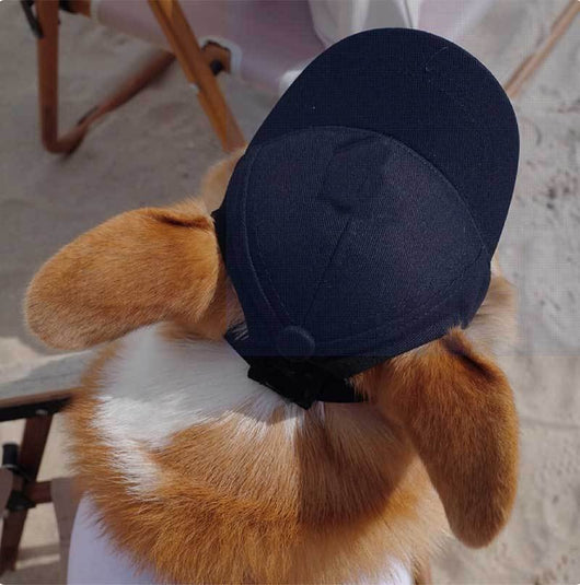 Gorra Protectora Solar Ajustable para Mascotas con Orejas Descubiertas - Image 21