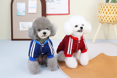 Abrigo Térmico V para Perros - Diseño Acolchado y Resistente - Image 20
