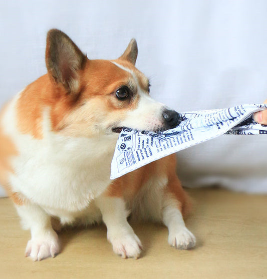 Juguete de Papel Periódico Crujiente para Perros con Sonidos Realistas - Image 2
