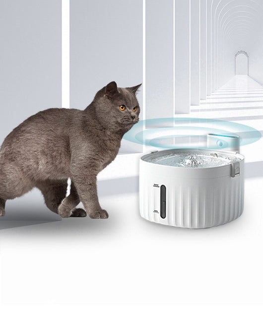 Bebedero Automático Inteligente para Gatos con Circulación Continua y Doble Fuente de Energía - Image 4