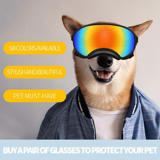 Gafas de Sol Deportivas para Perros Medianos y Grandes - Image 2