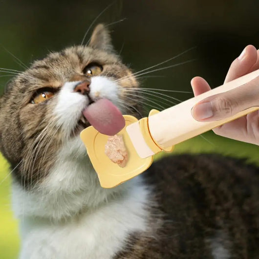 Cucharilla Dispensadora de Alimento para Gatos - Reutilizable y Portátil - Image 3