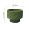 AK 225 Corto Grande Verde Oliva Maceta De Cemento