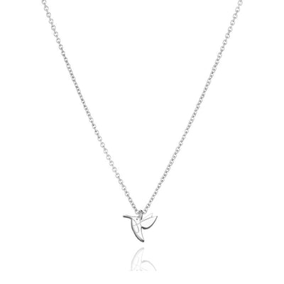 Collar Colgante con Tarjeta de Regalo e Información - Image 5