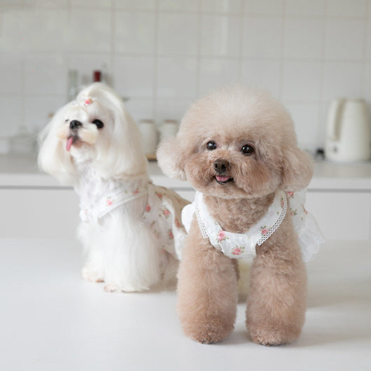 Falda para Perro con Estampado Floral Pueblerino y Encaje - Image 11