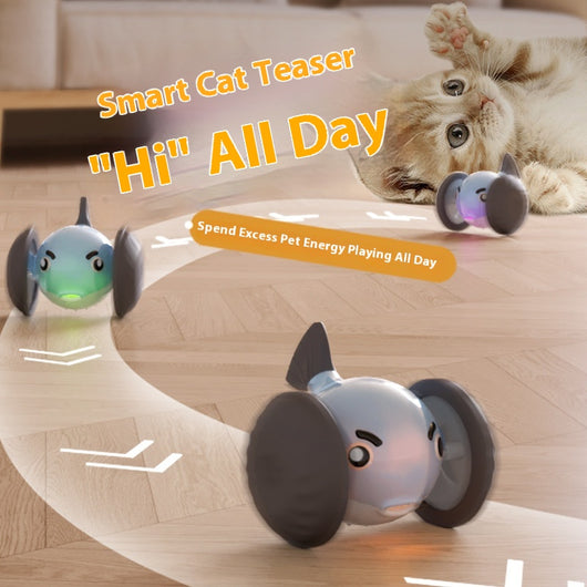 Yellow and white pet toy resembling a pufferfish with large gray wheels, designed for interactive play.