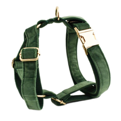 Collar de Terciopelo para Perro - Suave y Elegante - Image 12