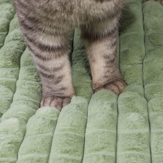 Cama Térmica Removible para Mascotas - Almohadilla Abrigada para Perros y Gatos - Image 5